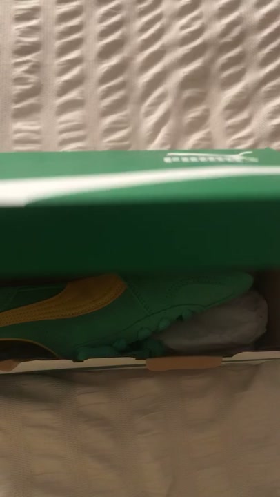 Puma Parlemo