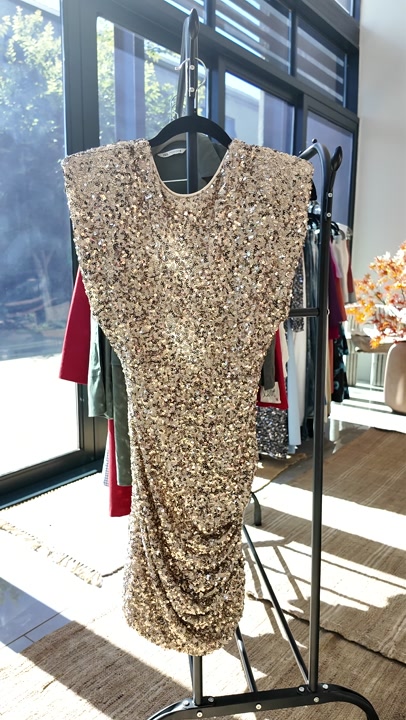 Zara Mini Gold Sequin Should Pad Dress